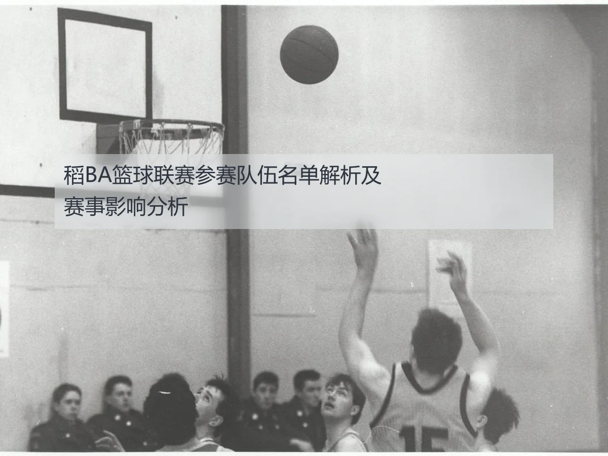 稻BA篮球联赛参赛队伍名单解析及赛事影响分析